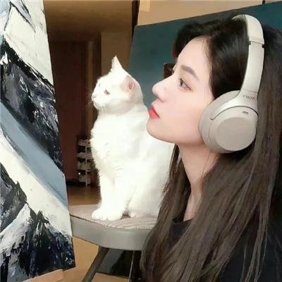 金斯敦市长第一季